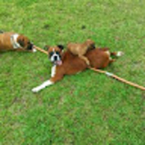 Meet your Posher, Larry